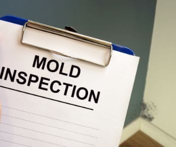 Carmel's Mold Removal - MoldInspection