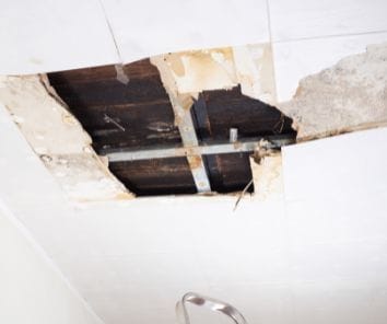 Carmel's Mold Removal - Water Damage Repair