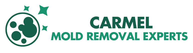 Carmel’s Mold Removal Experts, Mold Removal Company, Mold Removal Contractors