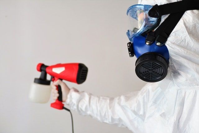 Mold Removal in Carmel